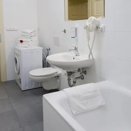 Apartment Truhlarska *